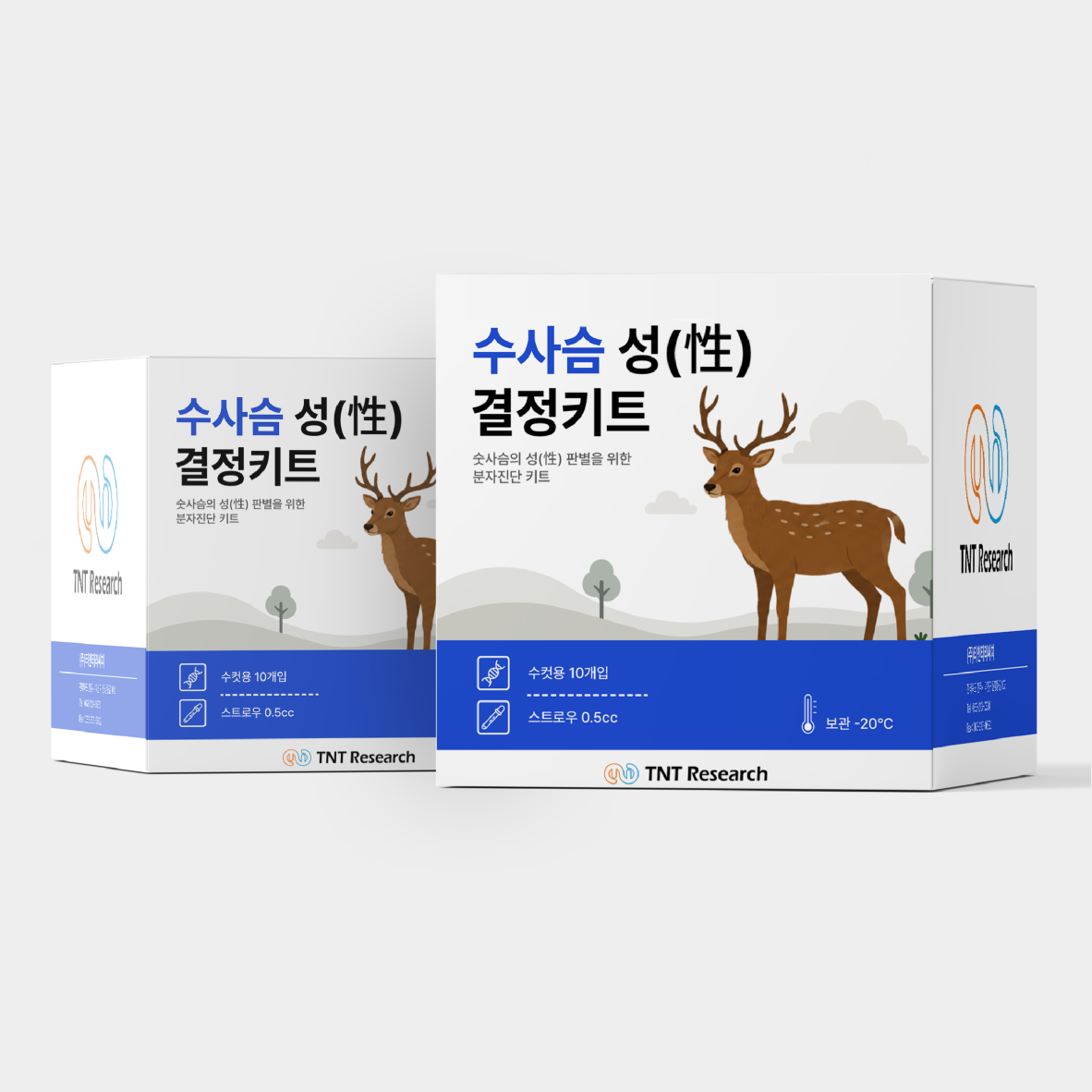 수사슴 성결정 키트