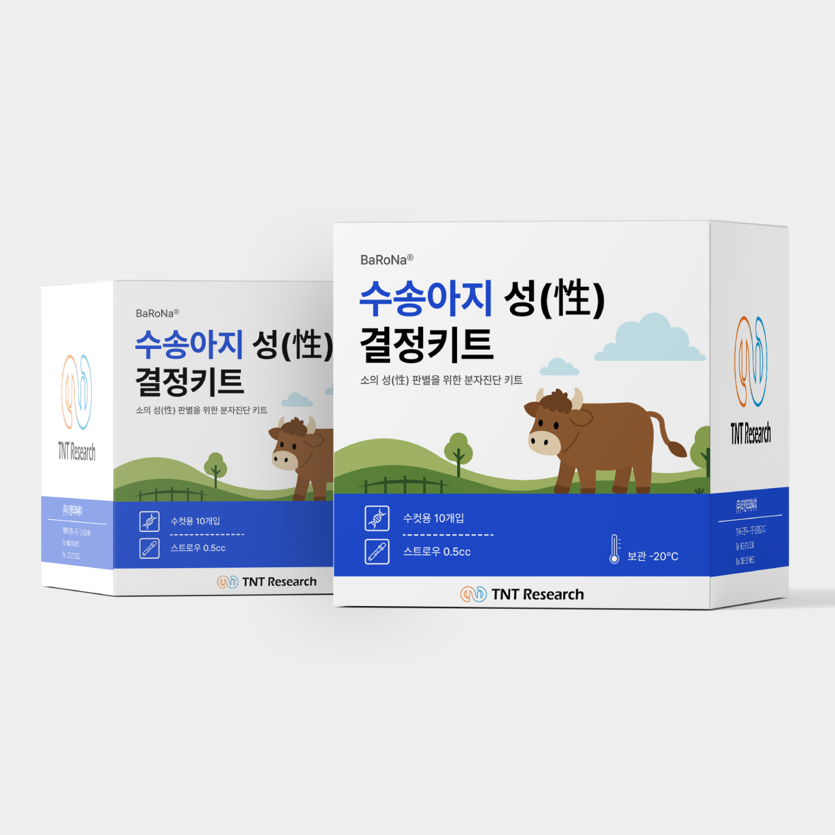소 성결정 키트 – Bull Focus