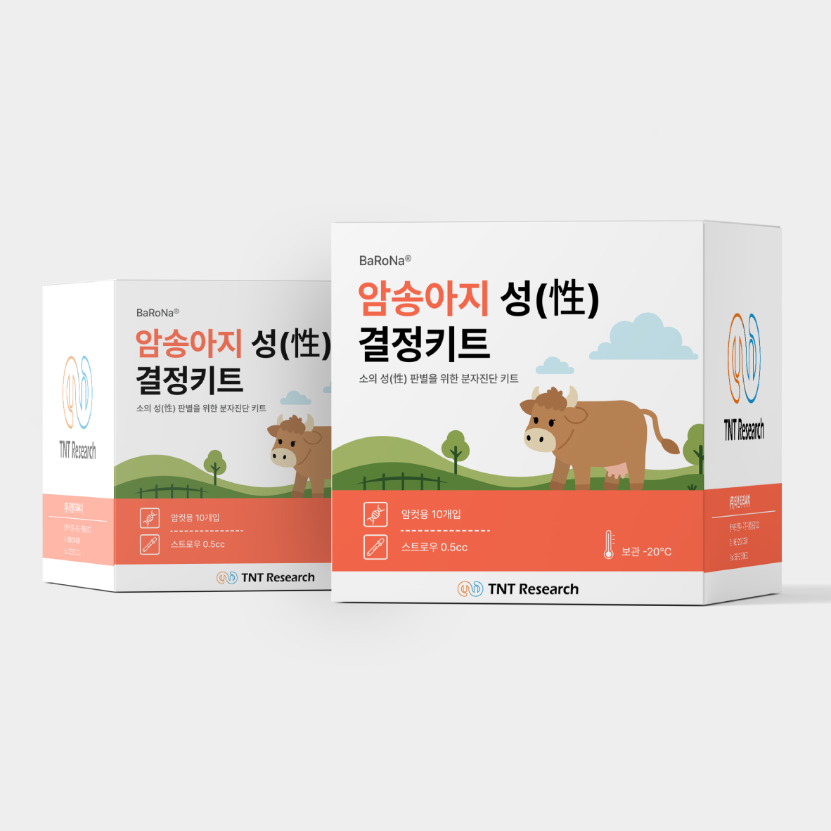 소 성결정 키트 – Heifer Focus